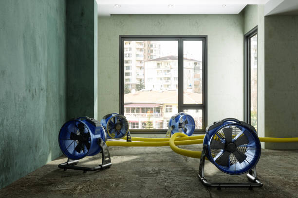 Best Basement water damage restoration  in Benton Harbor, MI